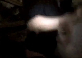 Juicy pig is being punished from behind
