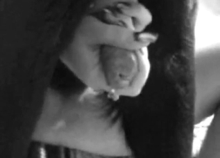 Sweet pervert is enjoying a great zoo fuck