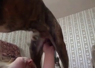 Russian model is enjoying a zoo fuck